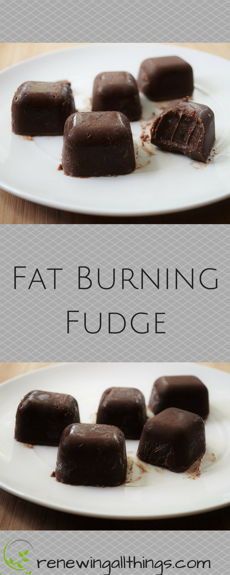 Fat Burning Fudge