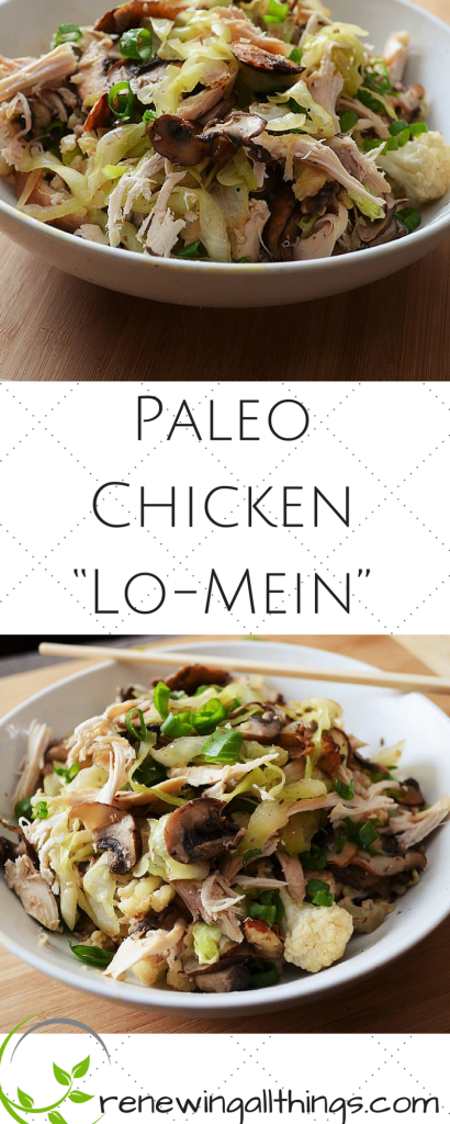 Paleo Chicken “Lo-Mein”