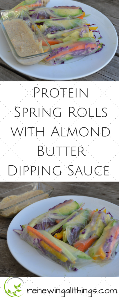 Spring Rolls with Almond Butter Dipping Sauce