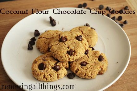 chocolate-chip-cookie2